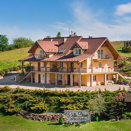 Willa Diana- z panoramą jeziora i gór w Polańczyku Exterior foto