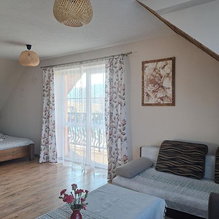 Willa Diana- z panoramą jeziora i gór w Polańczyku Exterior foto