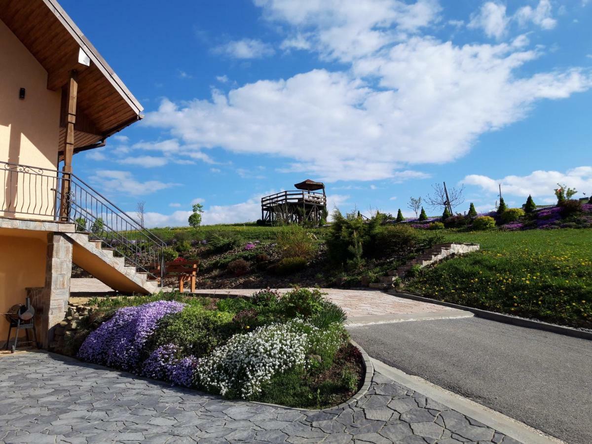 Willa Diana- z panoramą jeziora i gór w Polańczyku Exterior foto